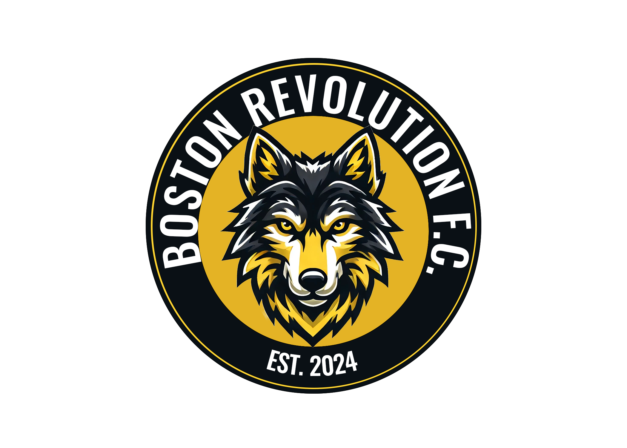 Team Logo